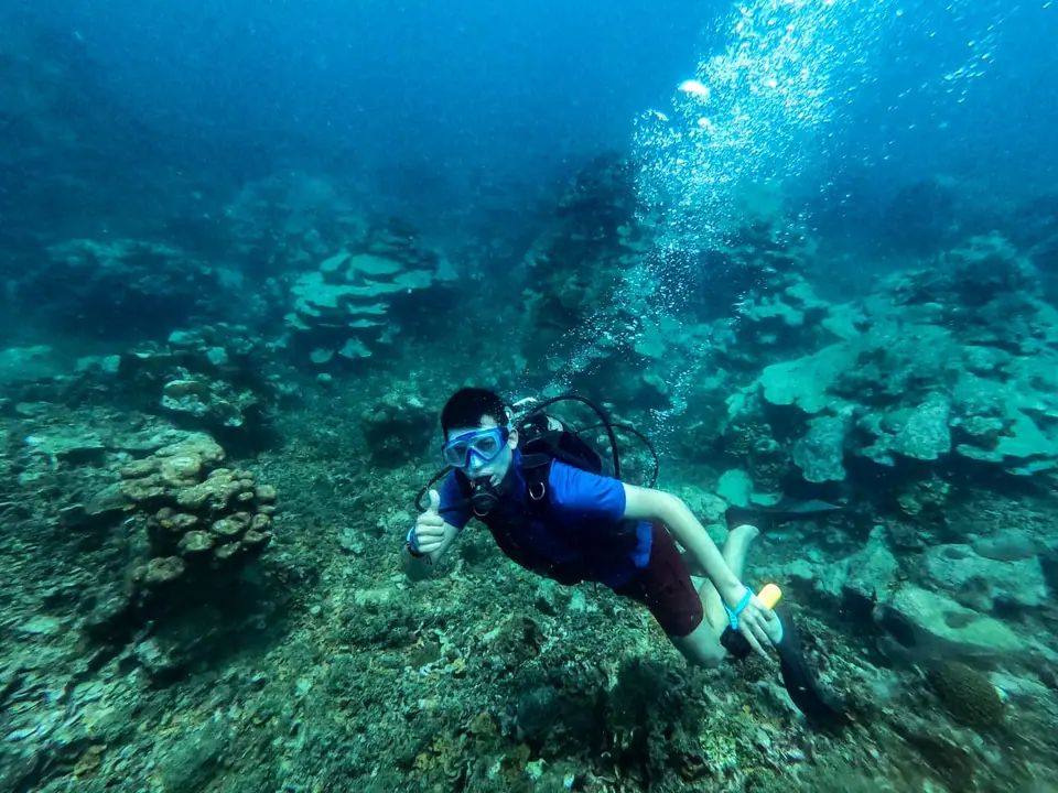 Buceo en Arrecifes Coralinos, foto 1 de 10