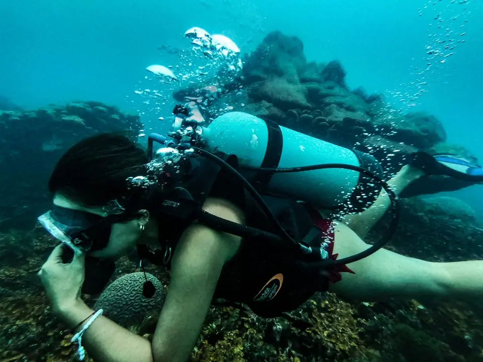 Buceo en Arrecifes Coralinos, foto 5 de 10