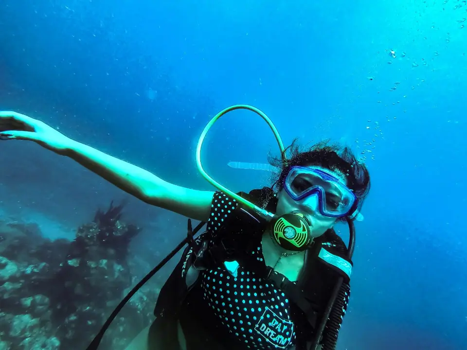 Buceo en Arrecifes Coralinos, foto 6 de 10
