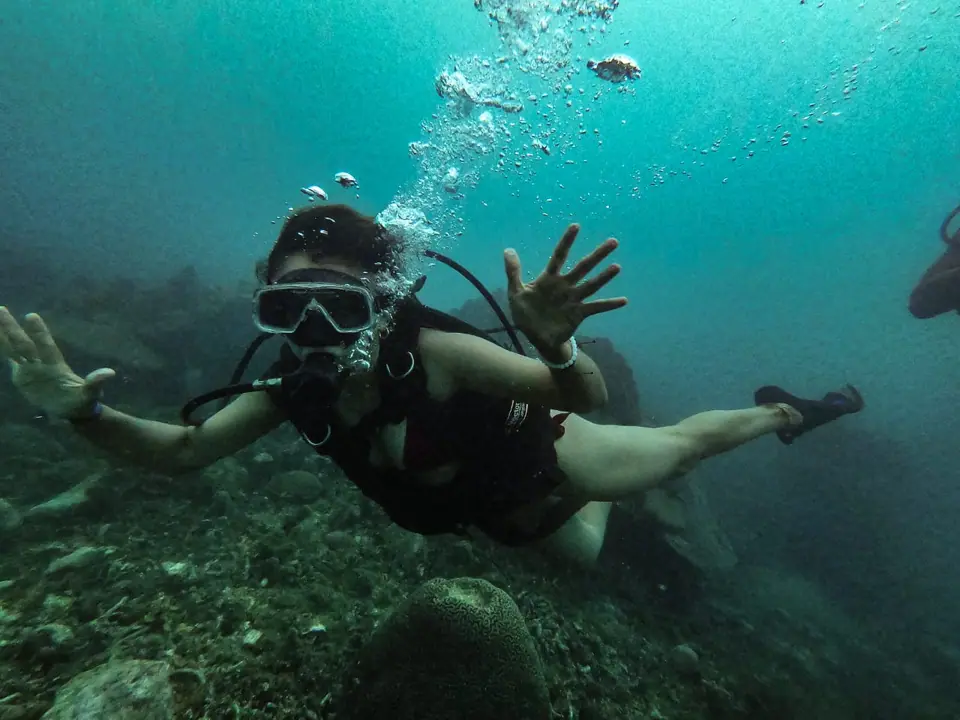 Buceo en Arrecifes Coralinos, foto 8 de 10