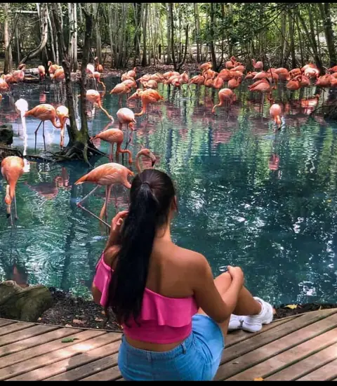 Foto del tour Playa Blanca + Aviario
